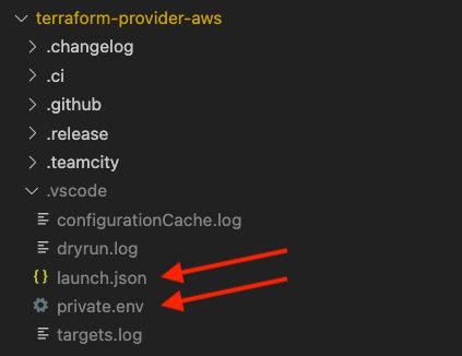 Using launch.json in VS Code